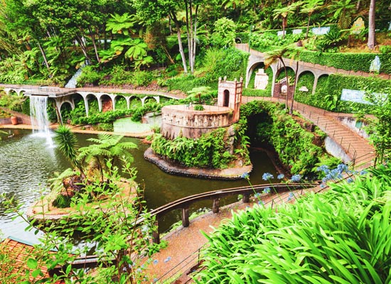 L’étang aux palmiers du jardin botanique de Funchal